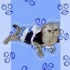 Gintama Sakata Cat Cosplay Costume