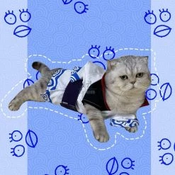 Gintama Sakata Cat Cosplay Costume