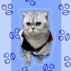 Gintama Sakata Cat Cosplay Costume -Anime Costumes store online gintama sakata cat cosplay costume3