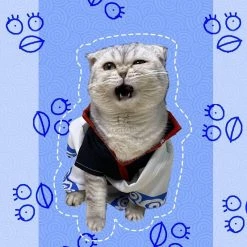 Gintama Sakata Cat Cosplay Costume -Anime Costumes store online gintama sakata cat cosplay costume4