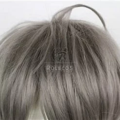 Haikyuu!! Kōshi Sugawara Short Grey Cosplay Wig Man Hair -Anime Costumes store online ml195 6 1