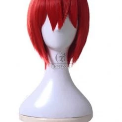 Mahō Tsukai no Yome Chise Hatori Cosplay Red Wigs -Anime Costumes store online ml294 1 mah tsukai no yome chise hatori cosplay red wigs