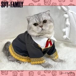 SPY×FAMILY Forger Anya Cat Cosplay Costume